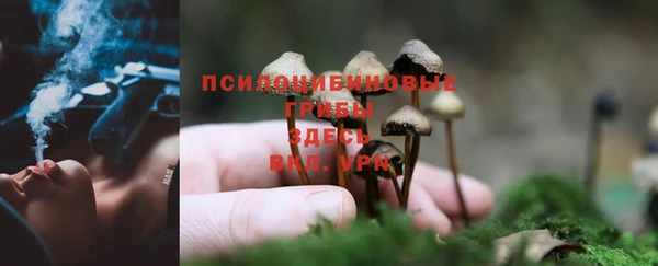 СК Лихославль