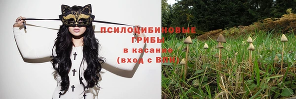 прущая мука Краснослободск