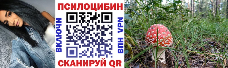Купить закладки  Балахна  Галлюциногенные грибы Psilocybine cubensis 